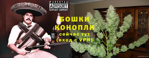 крисы Зерноград