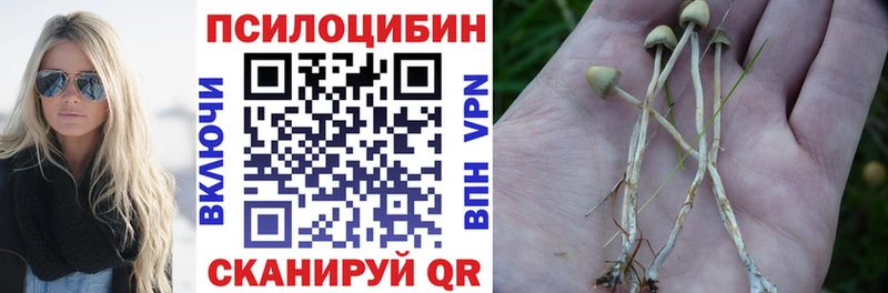 Галлюциногенные грибы Psilocybine cubensis Ярцево