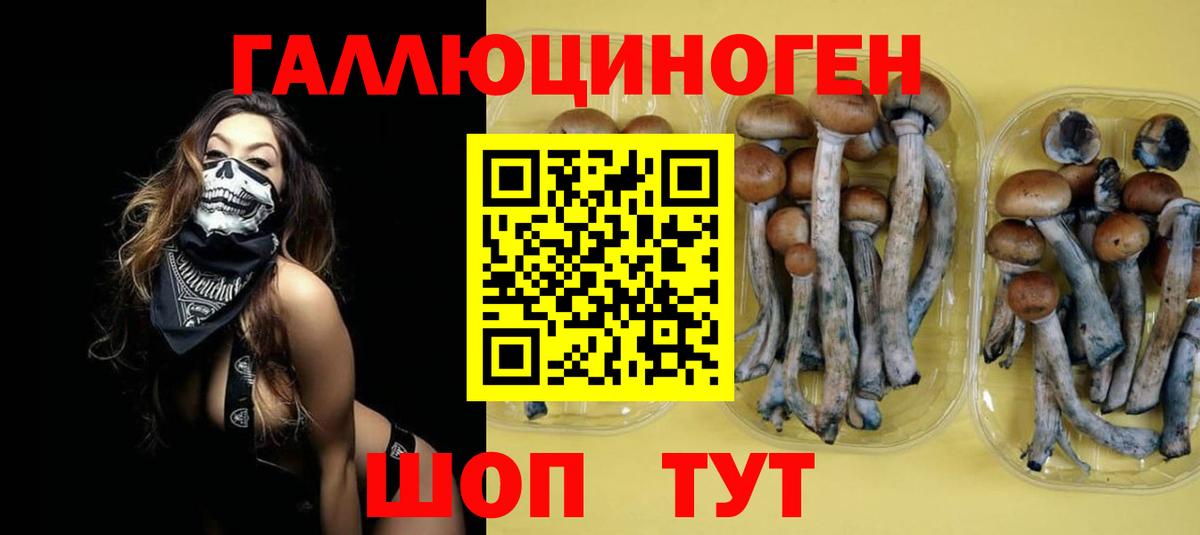 Ярцево  Псилоцибиновые грибы мицелий  Вход с VPN  Галлюциногенные грибы Magic Shrooms 